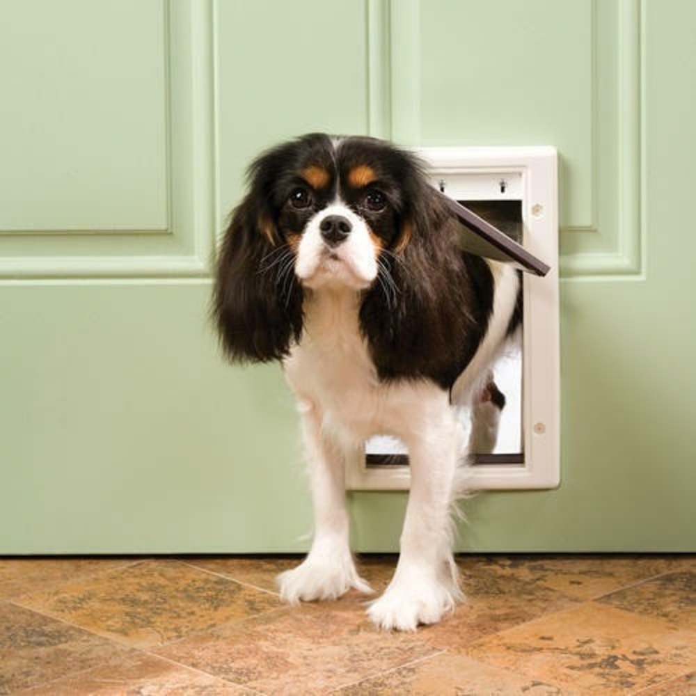 Plastic Pet Door Guardian by PetSafe Small Dog or Cat‎ 1-15 lbs NIB GPA00-13598